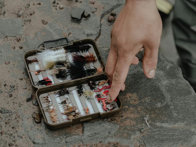 Hộp mồi lông 24 con (ảnh minh hoạ)