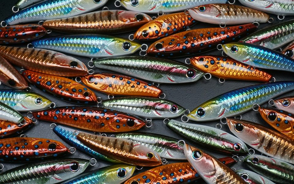 Rác thải câu cá: dây, lưỡi, chì và cách mang tất cả về